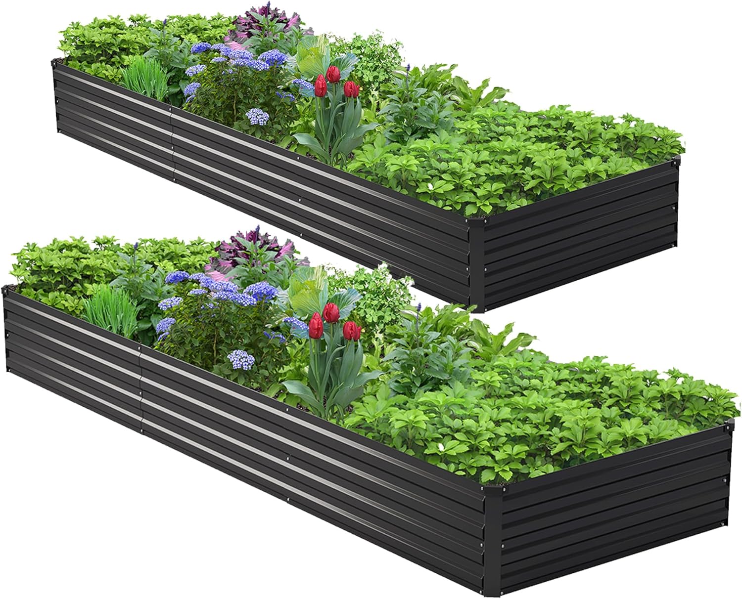 Raised Garden Bed - 2 SZT. Zestaw podwyższonych zaroślów ogrodowych