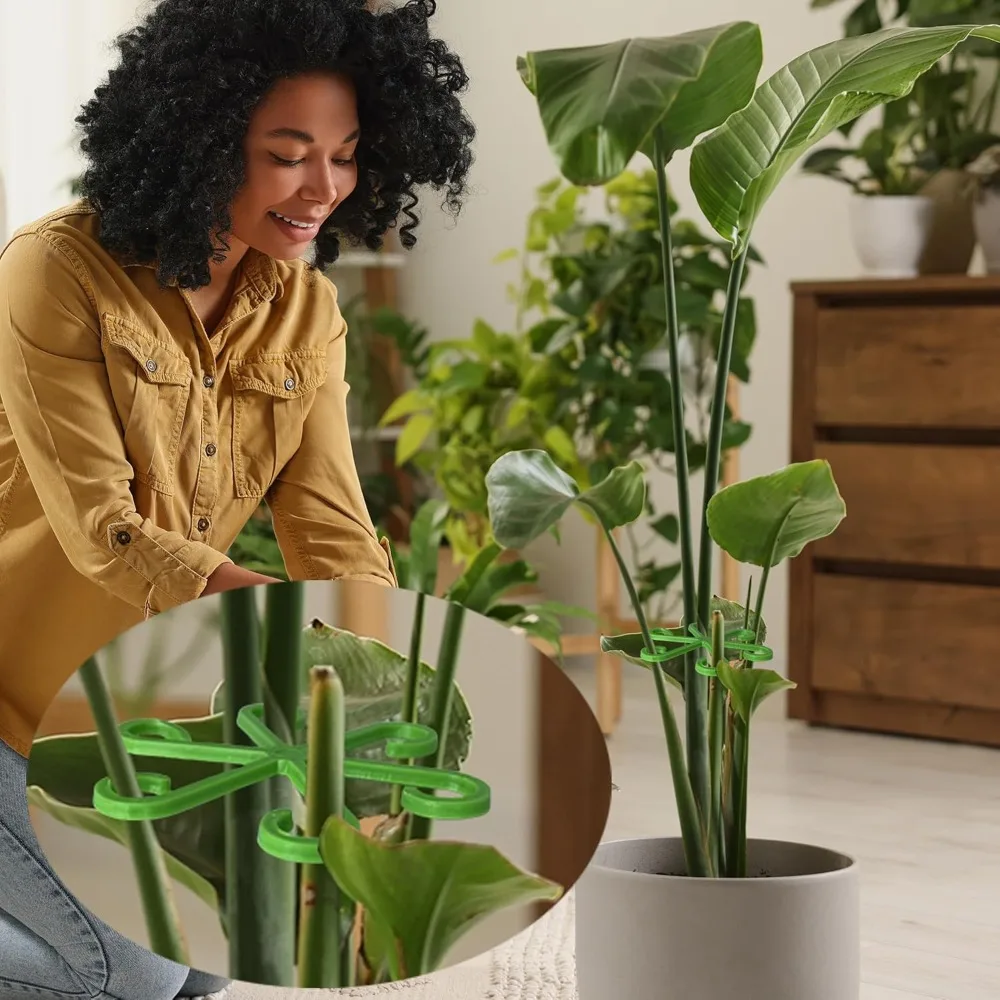 Kwiat Roślina Podpórka do łody – Indoor Herb Garden recenzja i cena