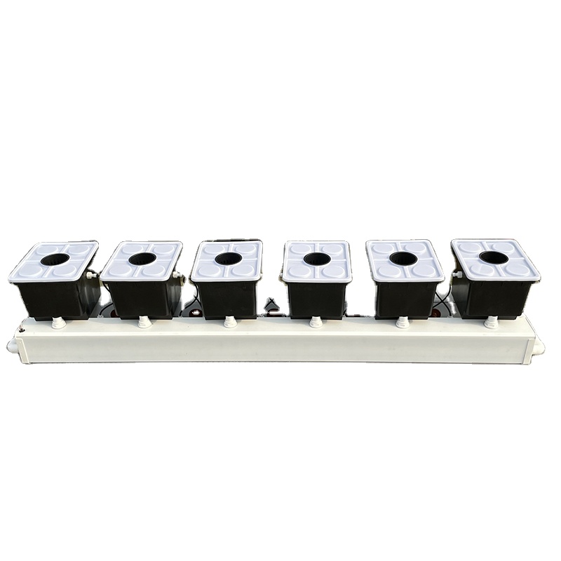 Holenderski system hydroponicz – Hydroponic Kit recenzja i cena