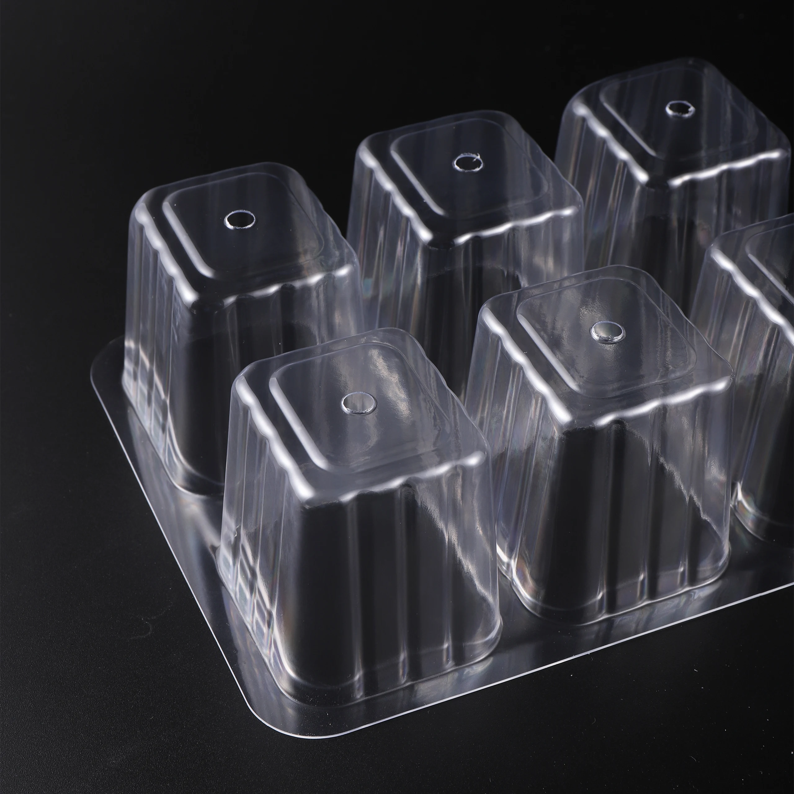 5 opakowań/zestawów Taca do sa – Seed Starter Tray recenzja i cena