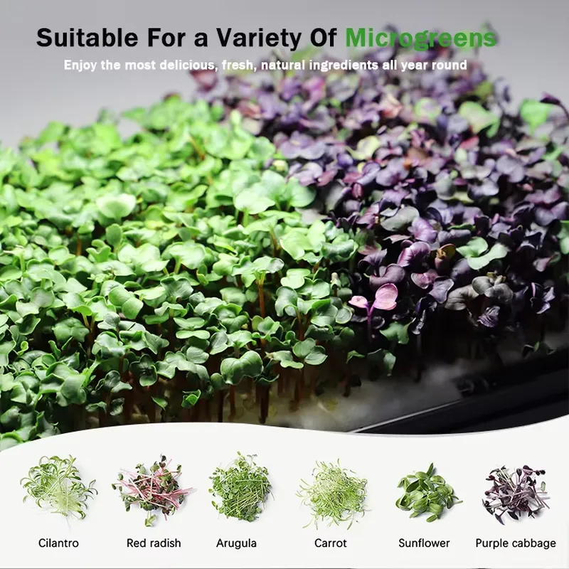 System hydroponiczny do samodz – Self Watering Planter recenzja i cena