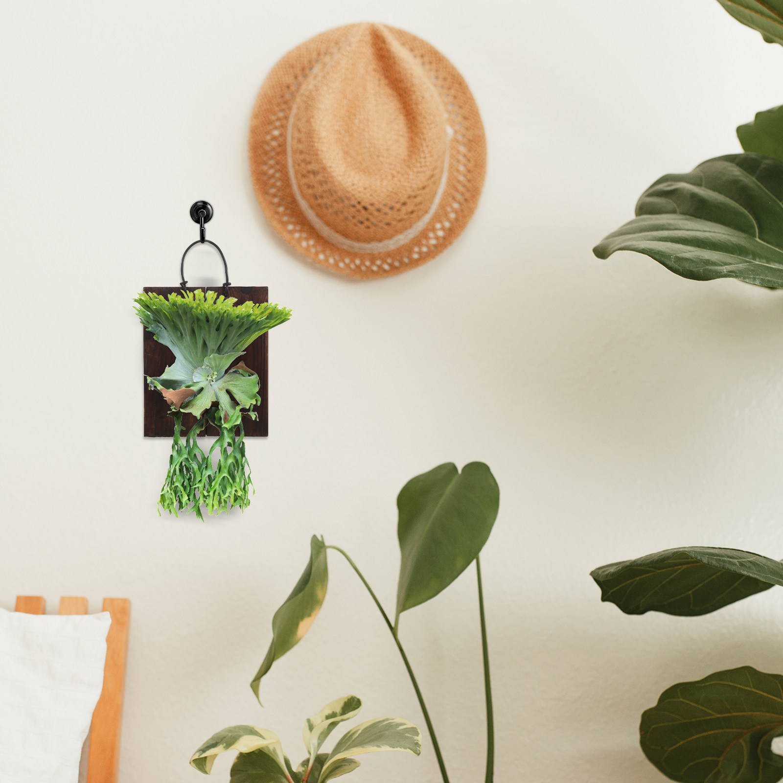 Płytka do montażu roślin wiszą – Vertical Planter recenzja i cena
