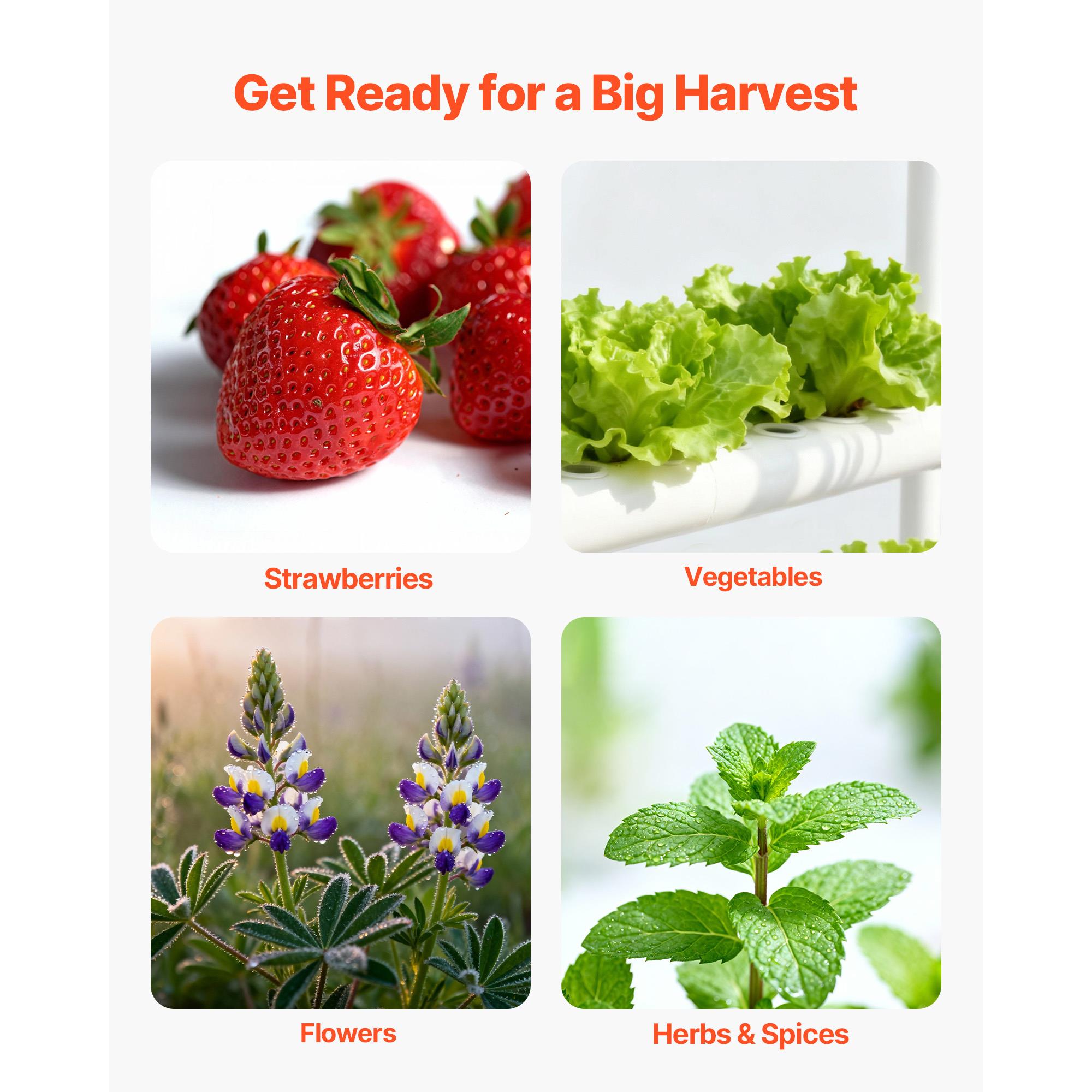 Zestaw do uprawy roślin hydrop – Hydroponic Kit recenzja i cena