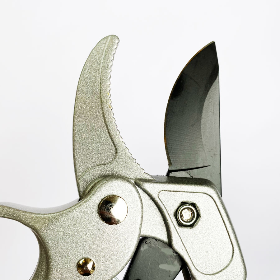 Profesjonalne nożyce do przyci – Pruning Shears recenzja i cena