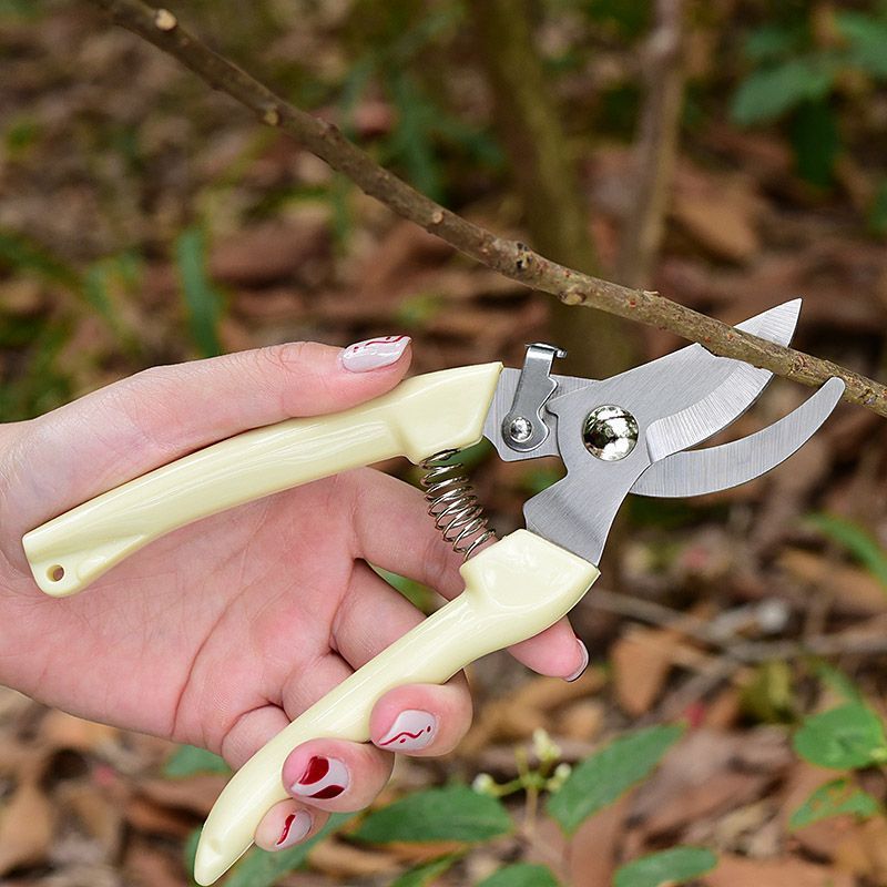 Oszczędzające Pracę Nożyce Ogr – Pruning Shears recenzja i cena