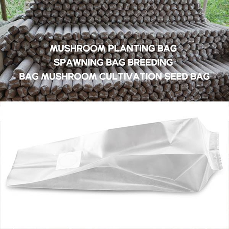 50 Saszetek do Hodowli Grzybów – Grow Bag recenzja i cena