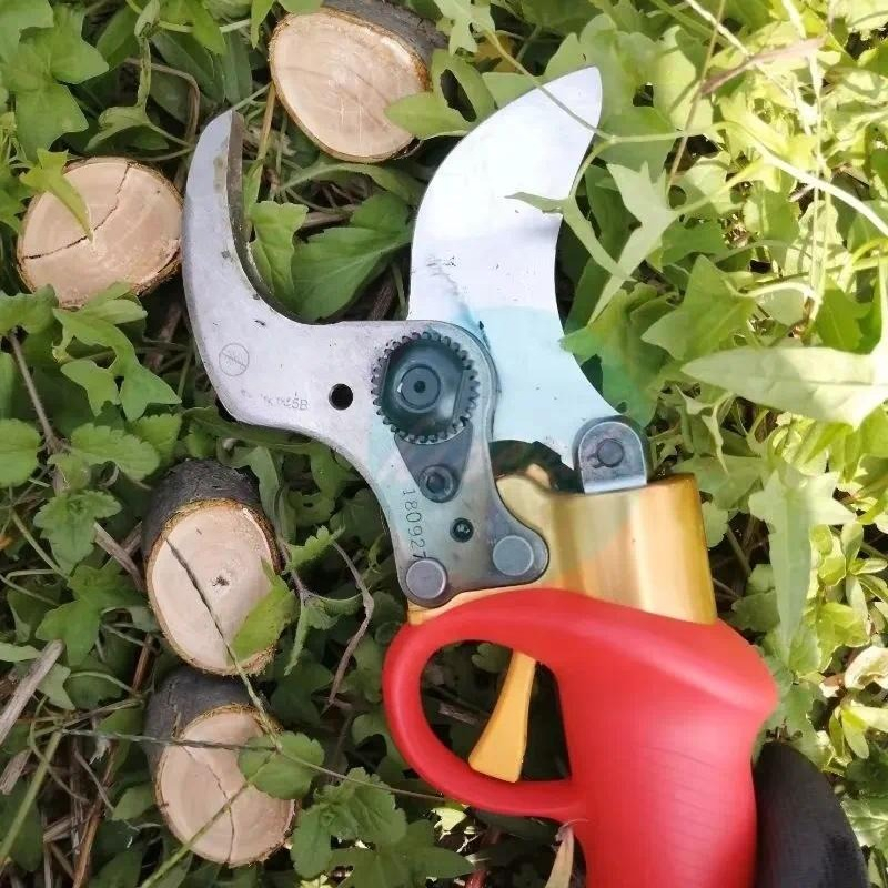 Akumulatorowe nożyce do przyci – Pruning Shears recenzja i cena
