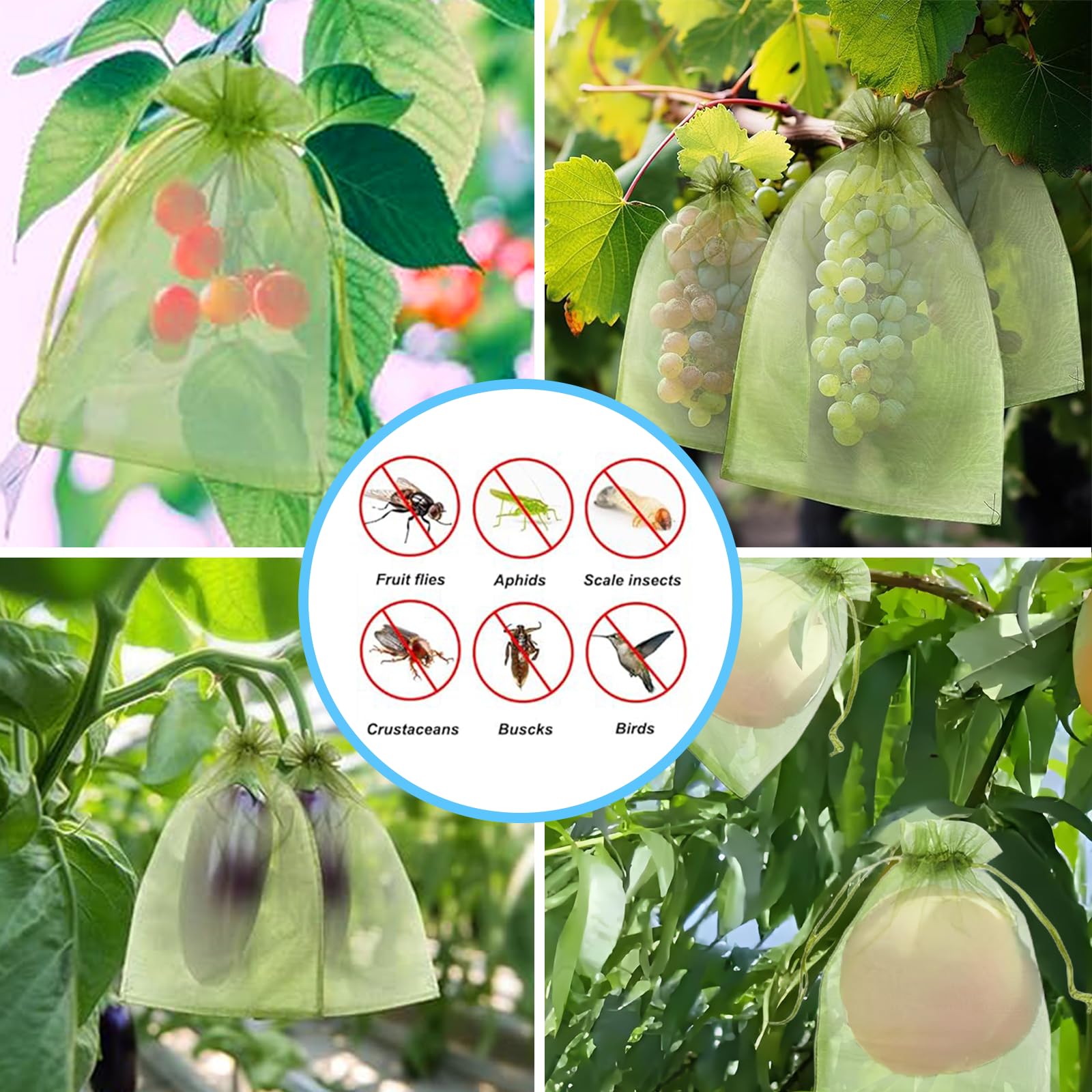 Skuteczna siatka przeciw ptako – Grow Bag recenzja i cena
