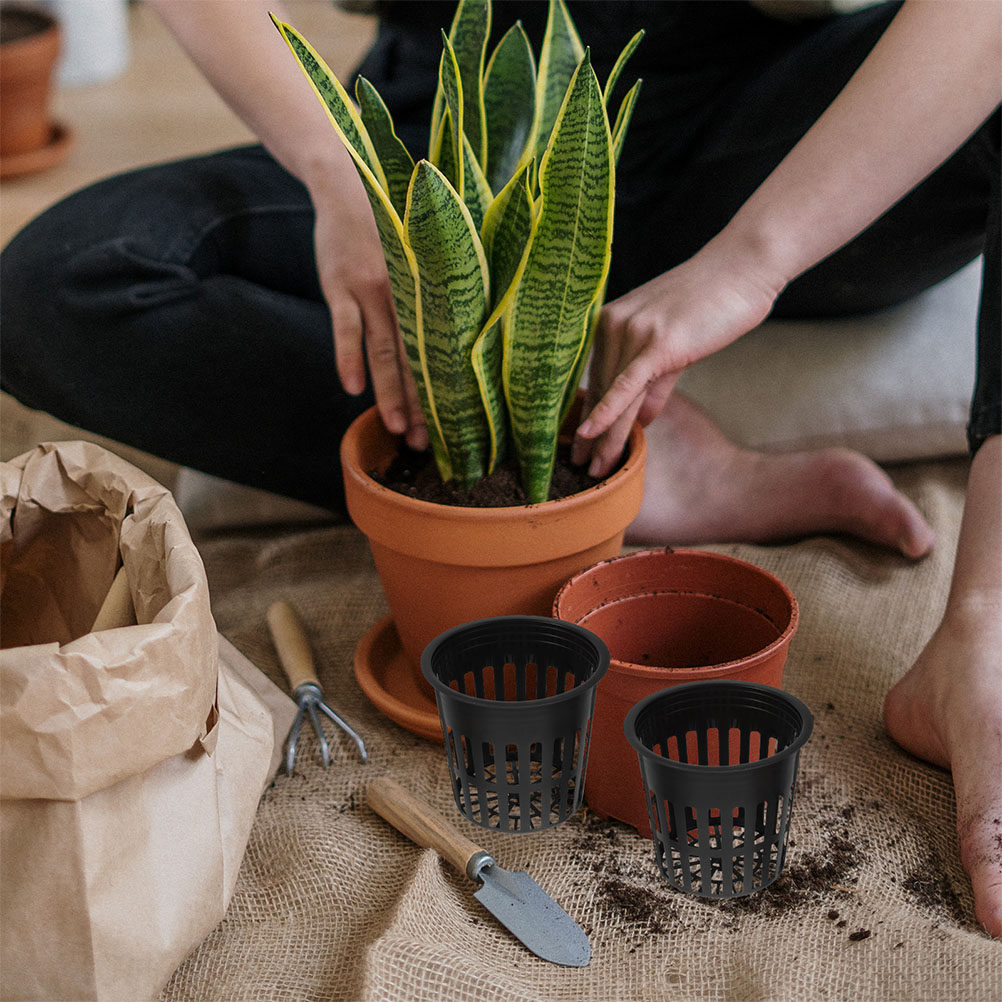 15 sztuk – koszyki do uprawy r – Plant Pot recenzja i cena