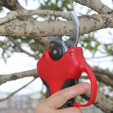 Akumulatorowe nożyce do przyci – Pruning Shears recenzja i cena