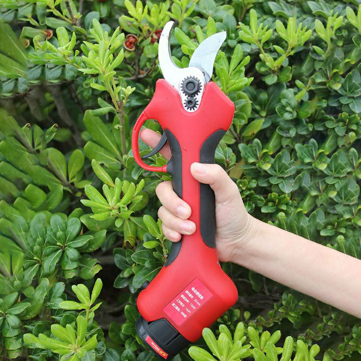 Akumulatorowe nożyce do przyci – Pruning Shears recenzja i cena