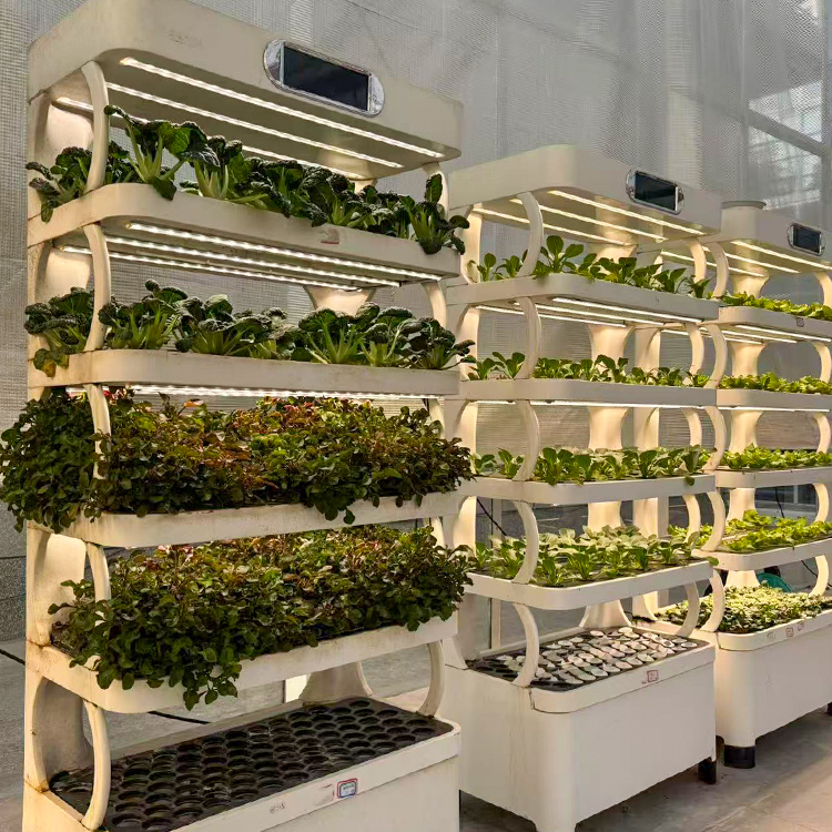 Inteligentny system do uprawy  – Grow Light Led recenzja i cena